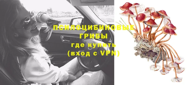 прущая мука Козловка