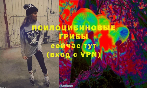 амф Кодинск