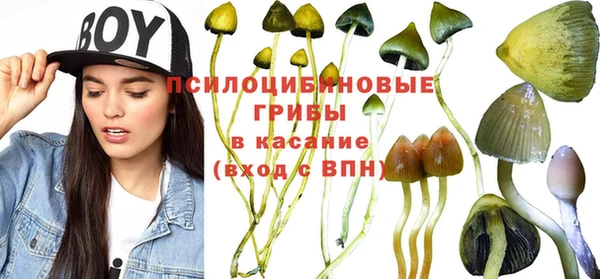 прущая мука Козловка