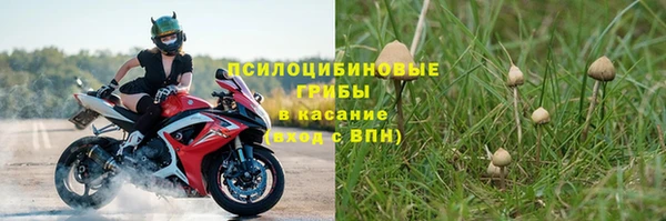 прущая мука Козловка