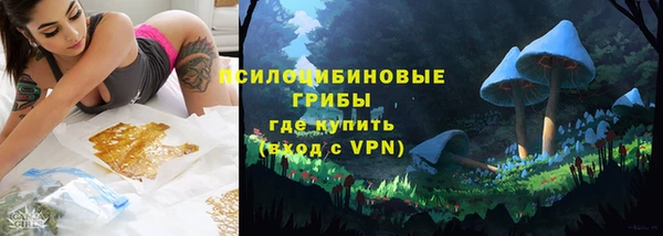 прущая мука Козловка