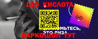 шишки Бийск