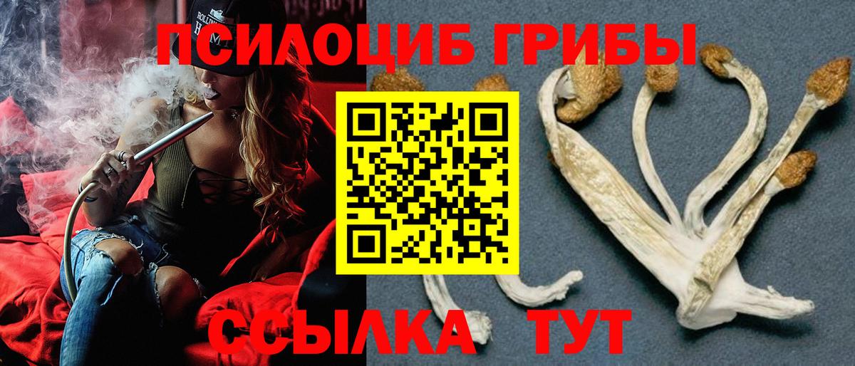 Галлюциногенные грибы GOLDEN TEACHER  Галлюциногенные грибы прущие грибы  Дзержинск 